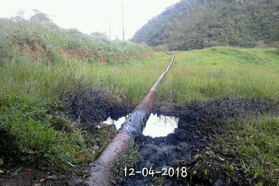 Pipeline: The blast hit a nonoperational portion of the Transandino pipeline in south-east Colombia