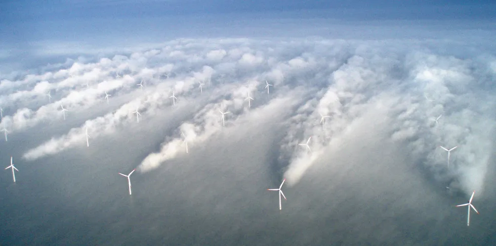 Wind wake revealed by low cloud at the Horns Rev wind farm off Denmark