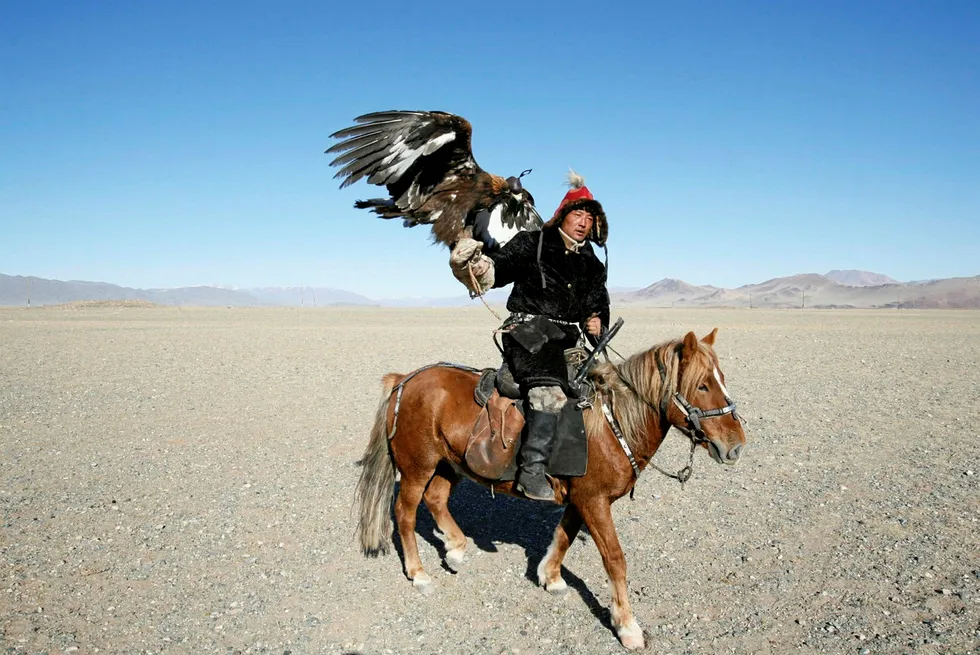 Mongolian exploration: Petro Matad has started drilling the Wild Horse-1 well