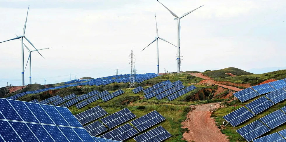 Solar looks to dethrone king wind in Texas power market