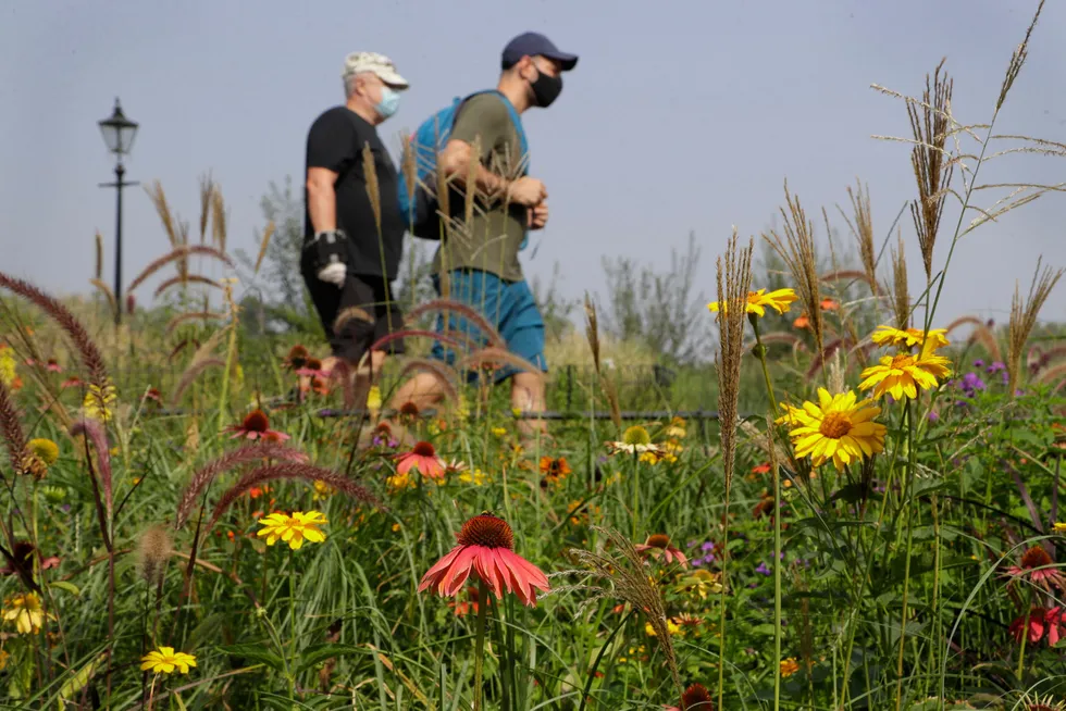 Heatwave: walkers in London in August 2020 when high temperatures hit the UK