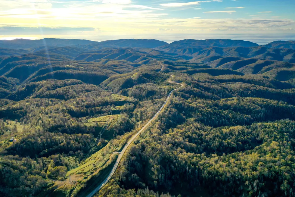 New way: Trees line the heavily forested Nevelsky Pass on the southwestern coast of Sakhalin Island in Russia
