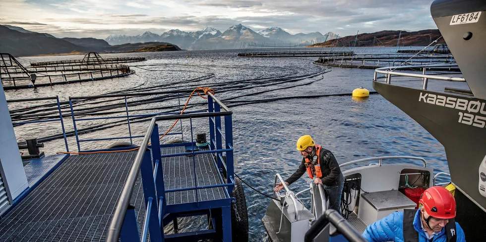Staff at Norwegian salmon farmer Leroy Aurora.