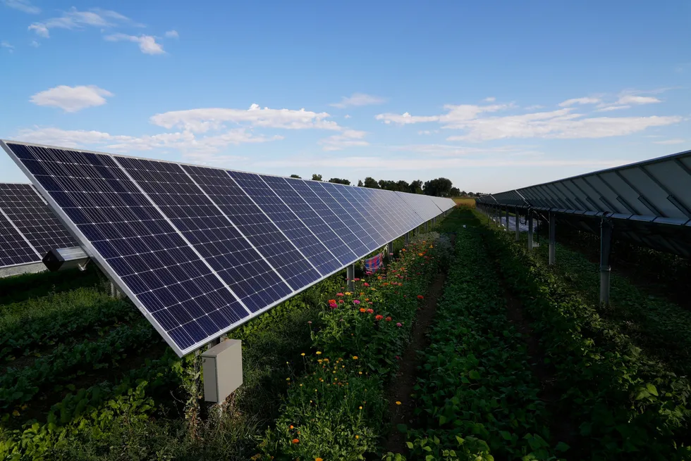 Boosting solar position: Shell increases its solar energy position in US with acquisition of Savion