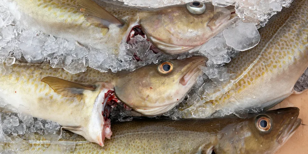 Norway cod's Marine Stewardship Council certification gets up to six-month reprieve