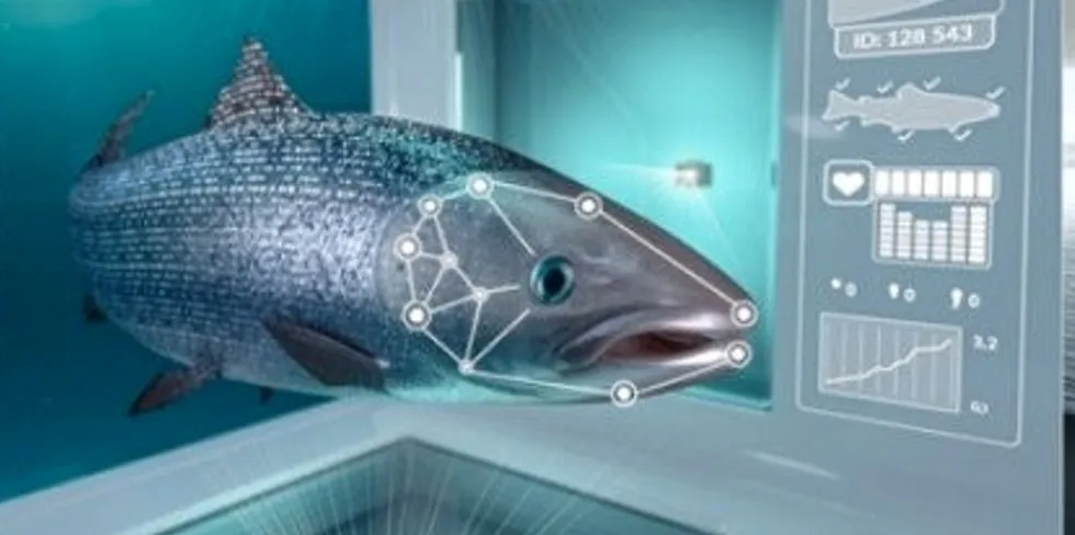 Farmed salmon raised with Cermaq's iFarm are on the market.