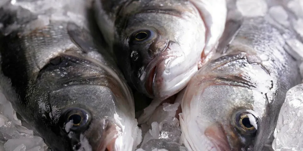 Letter: Turkey's bass, bream production rise no 'internal strategy'