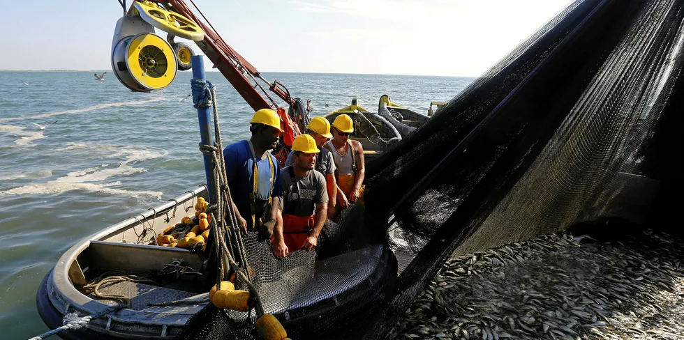 Fishermen pull on a net filled with Menhaden fish as they unload their catch to the 'Reedville' off the coast of Smith Island, Virginia.
