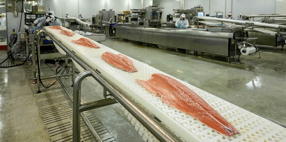 The companies will process salmon from their respective farms in the area at the new processing site, which is already under construction, Multiexport said in a note to Chile's financial regulator.