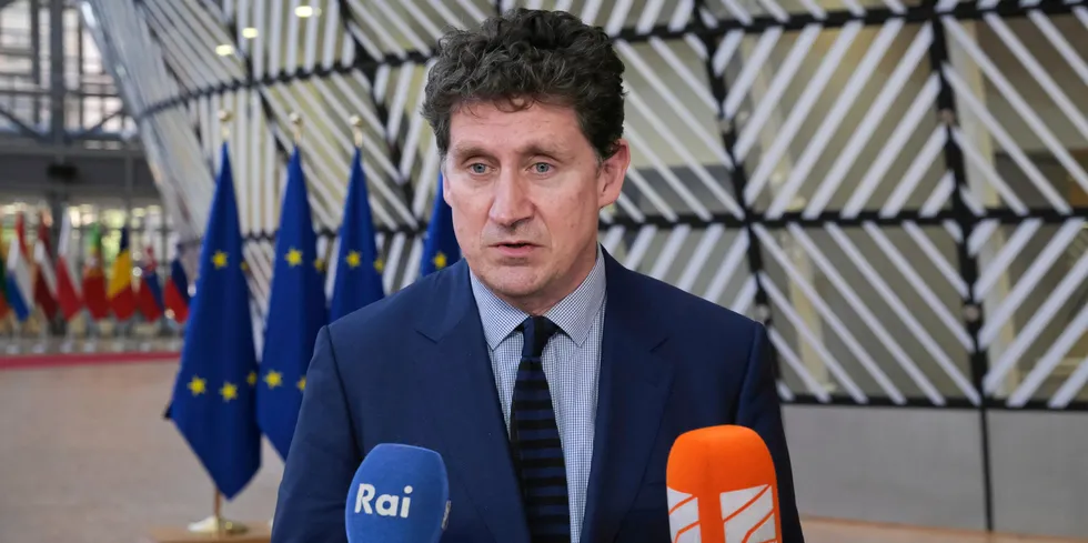 Irish minister for the environment, Eamon Ryan.