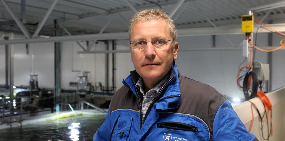 Andreas Kvame, CEO at Grieg Seafood.