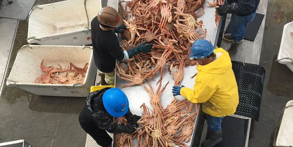 Crab processing at OBI Seafoods in Petersburg, Alaska. The facility has reported a single case of COVID-19 ahead of the upcoming crab season.