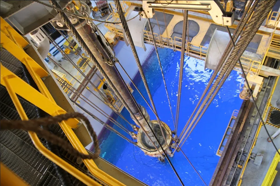 Chevron and lobbying groups have appealled against a ruling that nixed endangered species rules for US Gulf drilling.
