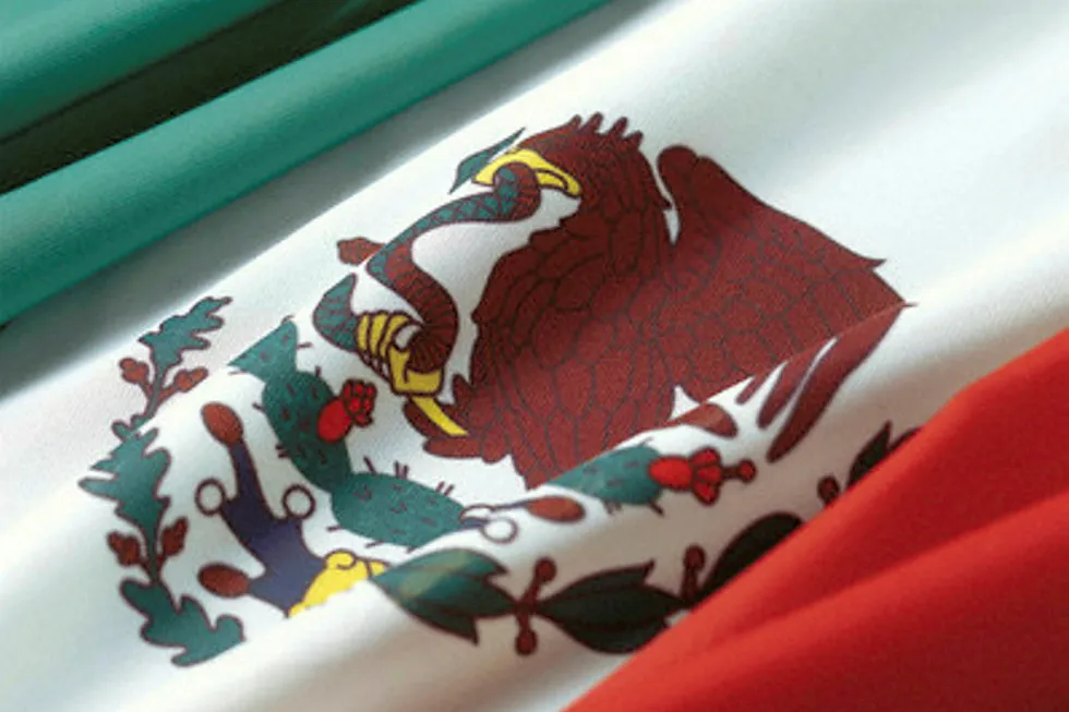 Ophir: Saying adios to Mexico block