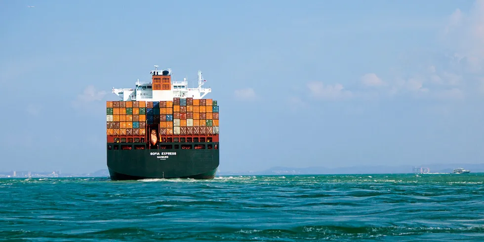 Relief on the horizon? Shipping freight rates sank sharply last week, but the longer-term picture for shippers such as the seafood industry is still tight.