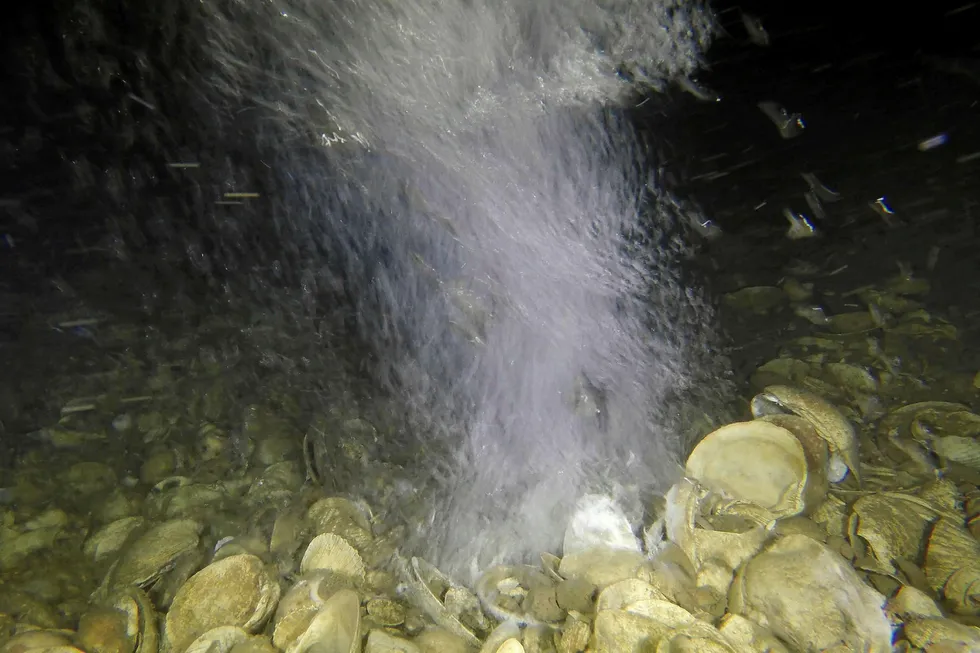 Leak: methane rises from craters on the seabed of the North Sea documented by Greenpeace, which the group says has been ongoing since a blow-out 30 years ago