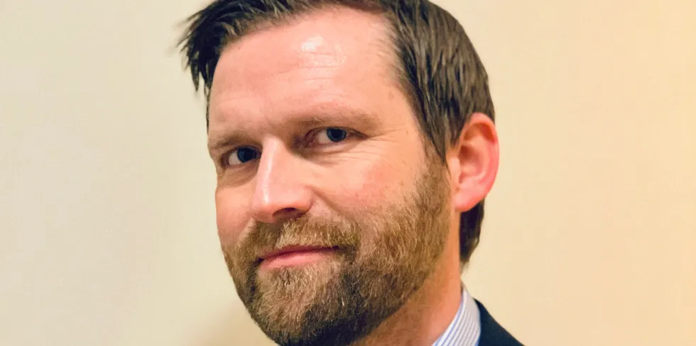 Harald Larssen named CEO for Leroy's Midt operations.