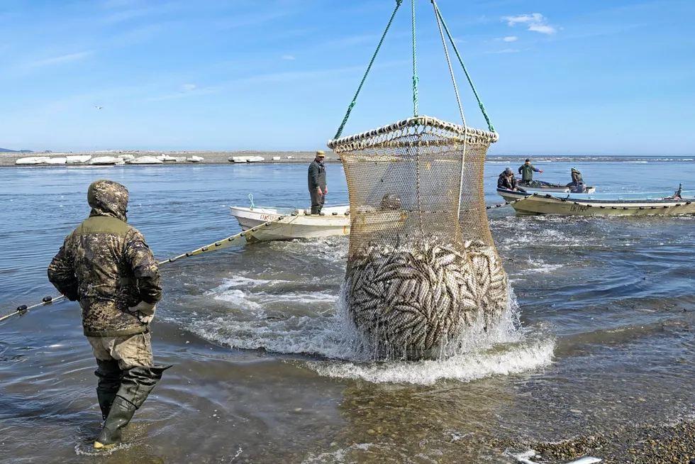 The overall TAC will be increased by 61,100 metric tons or 1.3 percent, driven by pollock and herring.