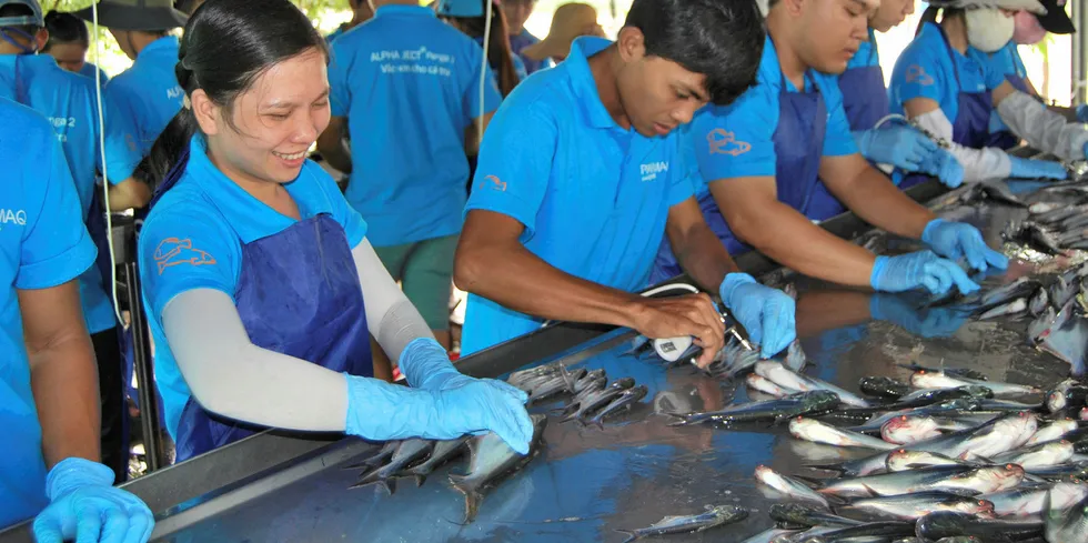 Vietnam pangasius.