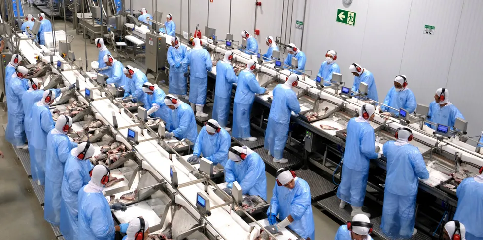 Brazilian processors hit by soaring costs are abandoning investment plans for this year.