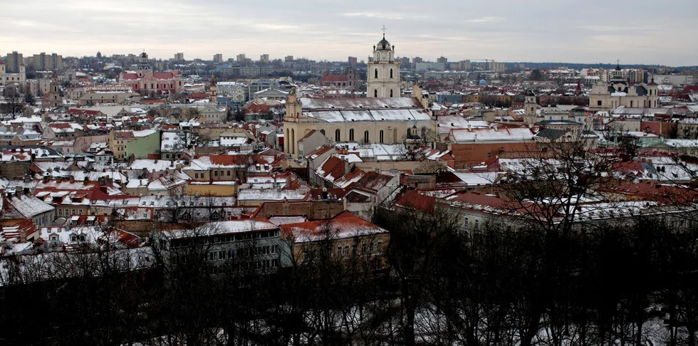 Ten Lithuanian companies and one Norwegian firm were investigated in 2019 as part of the joint effort.