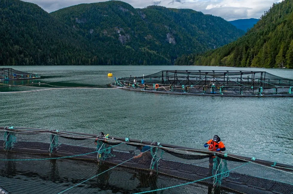 "The transition process chilled institutional investment in aquaculture in Canada. We have not had a dime of money in four years. We are four years behind every other salmon-producing region in the world because of the transition process," said Mia Parker, Mowi Canada West's environmental performance and certification director.