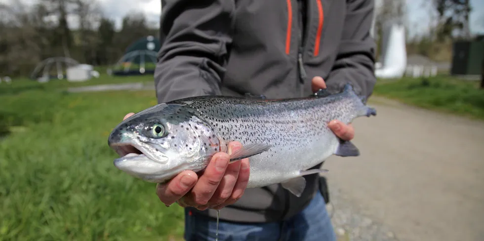 Riverence, which owns Clear Springs Foods, is the largest producer of farmed trout in the Americas.