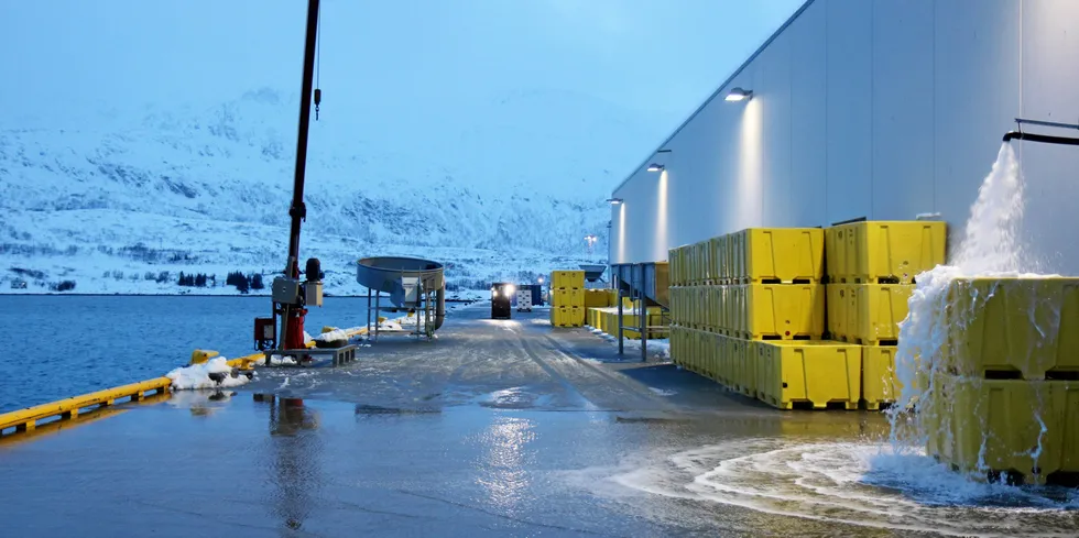 On Tuesday, a large action was carried out on the island of Vannoya. Two fish farms are in operation there, Karlsoybruket and Torsvagbruket. The Directorate of Fisheries' control boat "Fjordgyn" was docked at Karlsoybruket on Tuesday morning.