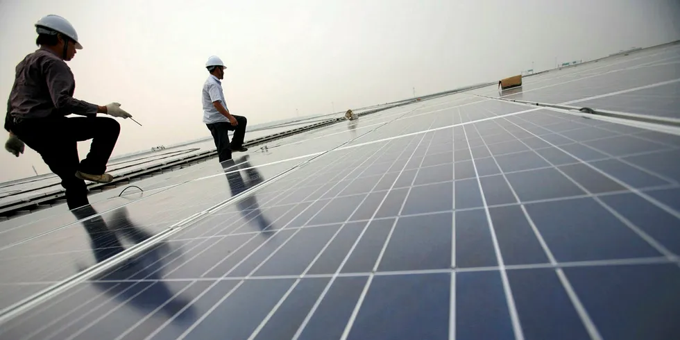 Building solar plants: Shell