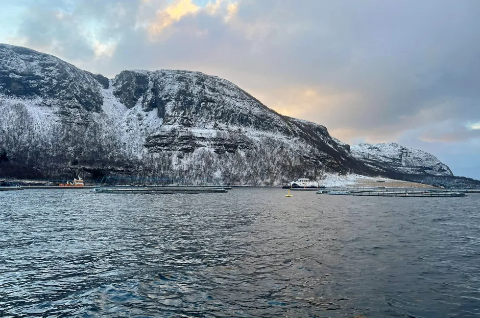 Norcod will thoroughly investigate the cause of the escape with supplier ScaleAQ and the Norwegian Fisheries Directorate.