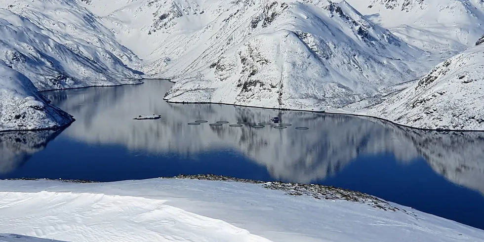Cermaq Norway is being forced to cull as many as 900,000 fish at its Olderfjord site in Hammerfest, Norway.