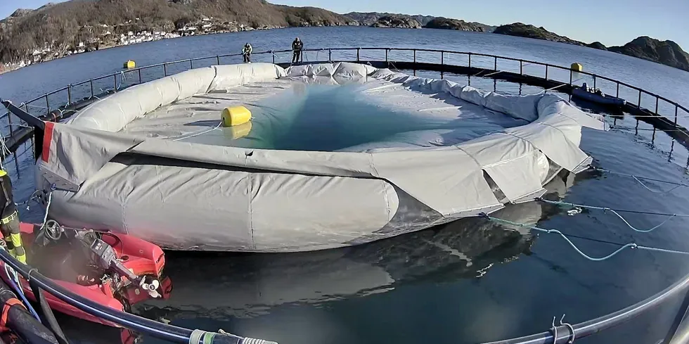 "Starfish" is now starting the sea testing period, which runs until the summer.