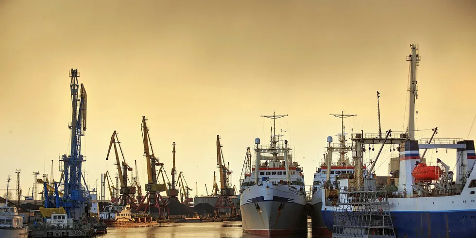 According to Forbes' ranking of Russia’s top fishing companies, Okeanrybflot, is Russia’s fourth largest fishing quota holder.