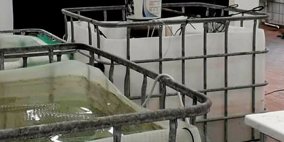 Happy Prawns' pilot plant in Sirevag in Rogaland.