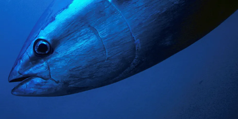 WWF said the fishery has yet to become sustainable.