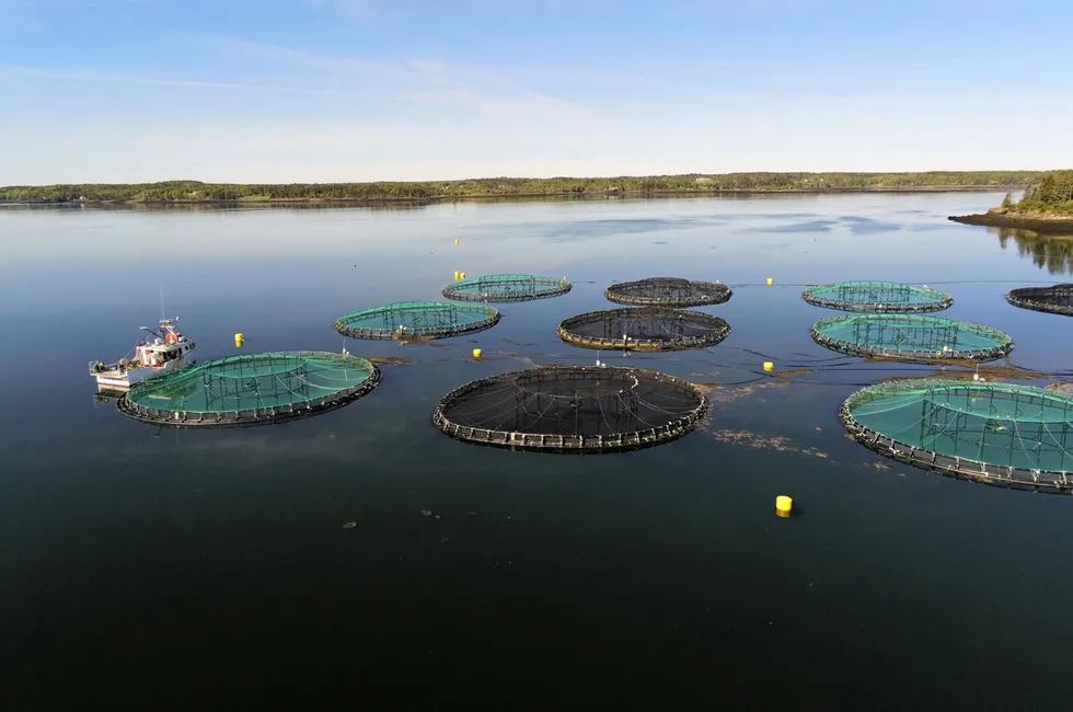 Conservationists filed a lawsuit alleging Cooke's salmon farms violate the US Clean Water Act.