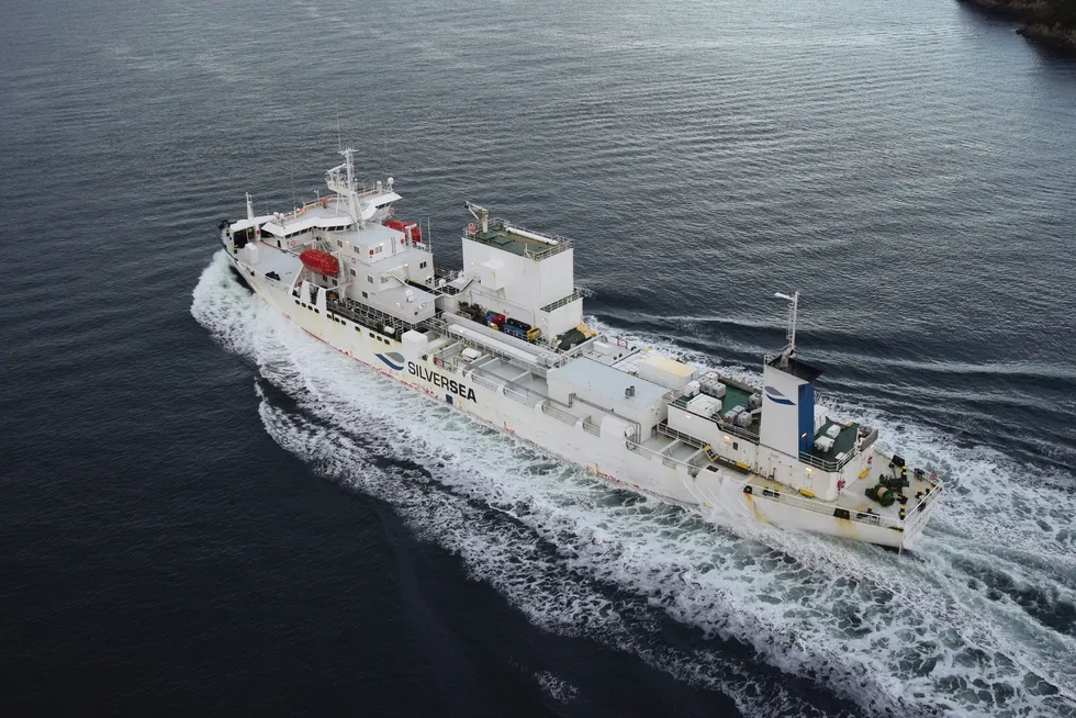 Silver Dania, photographed in 2022.