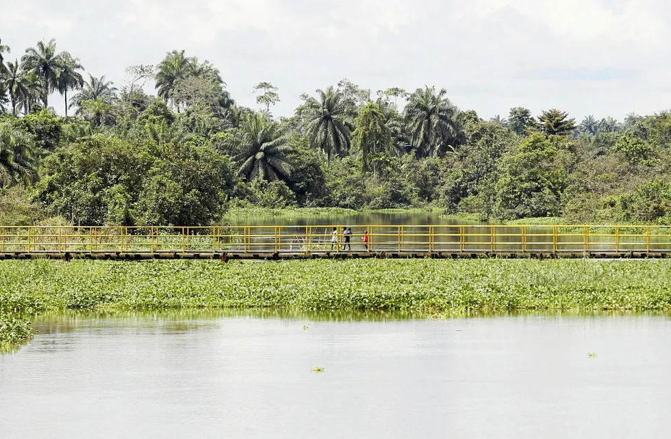 Smaller finds: Nigeria's oil-producing Niger Delta hosts scores of marginal fields that successive governments have sought to bring on stream
