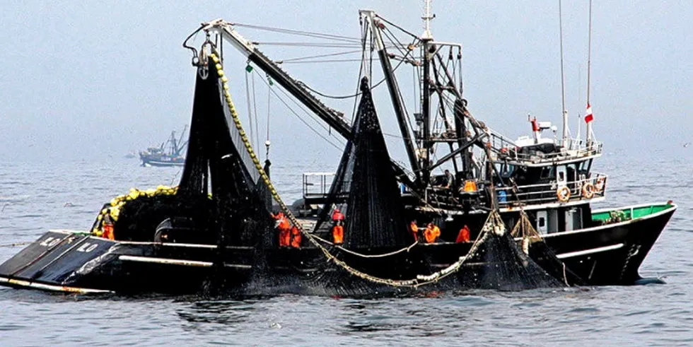 Running into February is likely to bring diminished returns or even a dead end for the Peruvian anchovy fleet.