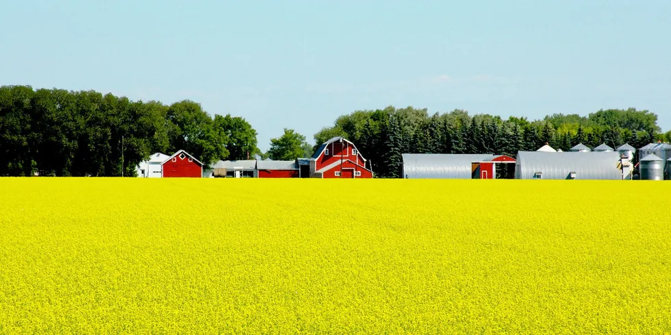 The Aquaterra product is derived from Nuseed omega-3 canola, which is a novel source of long-chain omega-3 fatty acids.