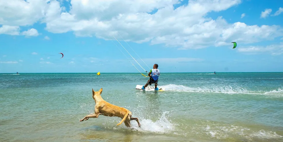 The La Guajira province at the Caribbean coast is one of Colombia's windiest and concentrate much of the country's wind power projects