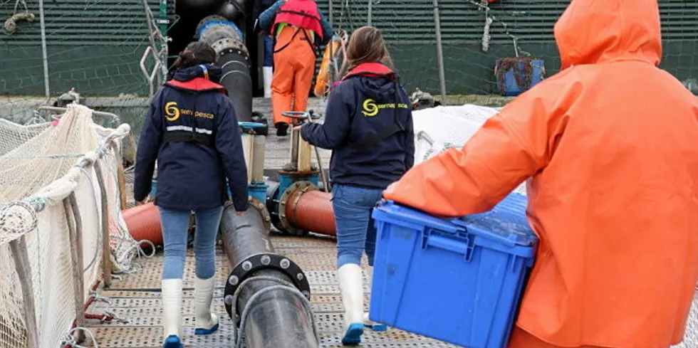 The number of dead fish resulting from an algal bloom in one of Chile's salmon farming region has doubled in two days.