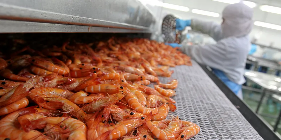 Increased global shrimp production is running into weakening demand, signaling that a market correction is on the horizon.