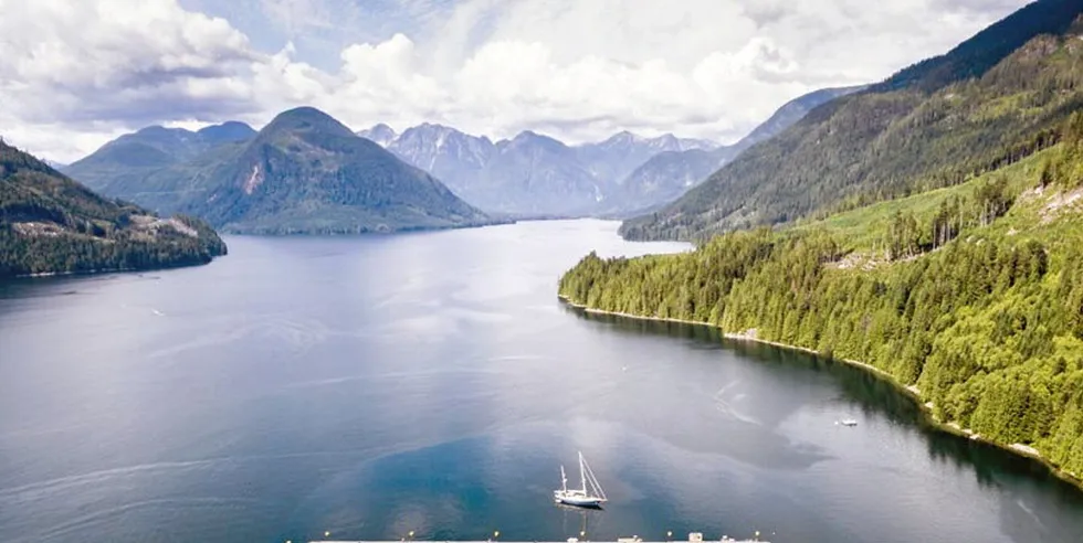 Salmon farmers operating in BC's Discovery Islands were told Thursday they would have to exit the area by mid-2022.