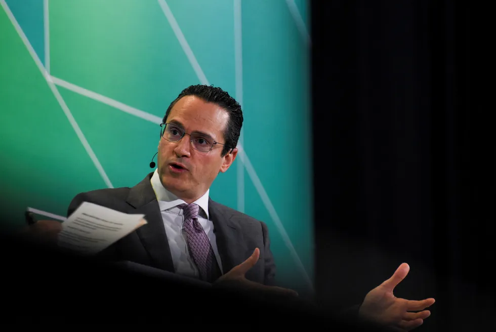 Well agenda: Shell chief executive Wael Sawan.