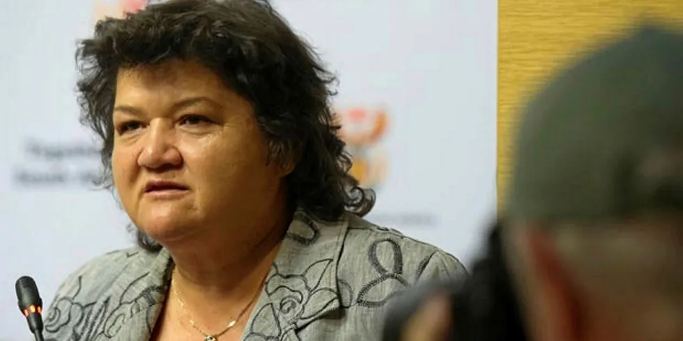 Minister of Public Enterprises, Lynne Brown.