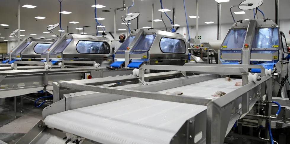 Brexit disruption has halted or reduced production lines at seafood processors in Boulogne-sur-Mer, northern France, Europe's largest seafood processing hub.
