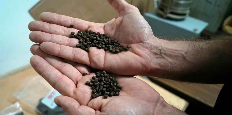 The BAP Feed Mill Standard has been strengthened to reflect the growing reliance of aquaculture on responsibly produced feed.
