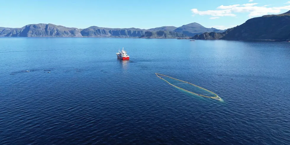 The escaped fish weighed between 4 kilos and 5 kilos, according to the Norwegian Directorate of Fisheries.