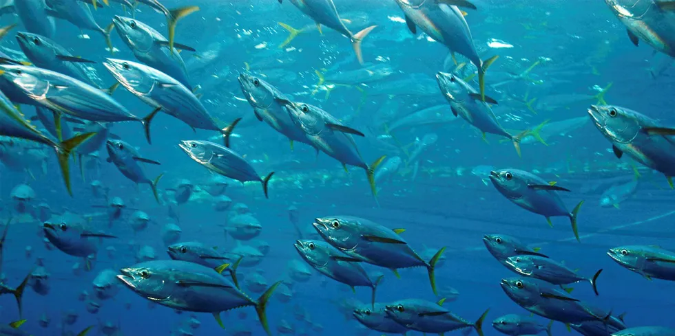 Thai Union sourcing executive departs for WWF